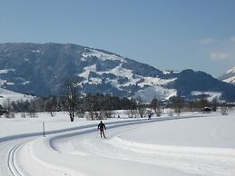 Apartment in Maria Alm Near ski Area