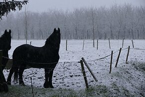 Spacious Apartment near Town Center in Mesch