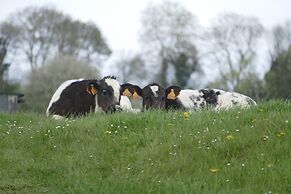 Spacious Apartment near Town Center in Mesch