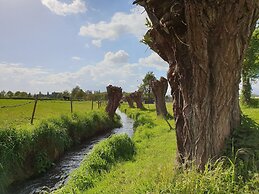 Spacious Apartment near Town Center in Mesch