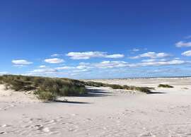 Bungalow in Nes on Ameland With Spacious Terrace