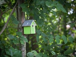 Bungalow in Nes on Ameland With Spacious Terrace