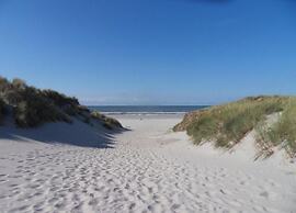 Bungalow in Nes on Ameland With Spacious Terrace