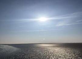 Bungalow in Nes on Ameland With Spacious Terrace