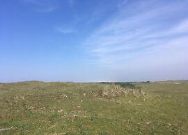 Bungalow in Nes on Ameland With Spacious Terrace