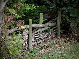 Bungalow in Nes on Ameland With Spacious Terrace