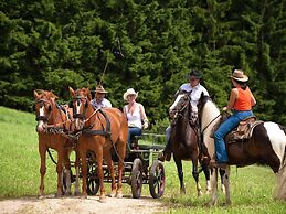 Spacious Apartment in Gosau near Ski Area