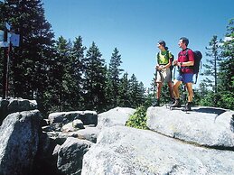 Spacious Apartment in Gosau near Ski Area