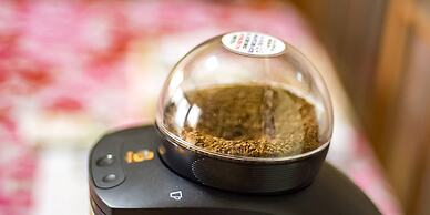 Guest Cafe Kuchikumano