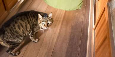 Guest Cafe Kuchikumano