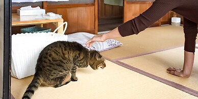 Guest Cafe Kuchikumano