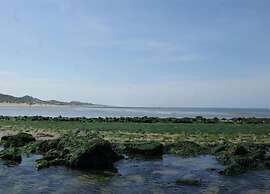 Peaceful Dune Retreat With Garden