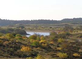 Peaceful Dune Retreat With Garden