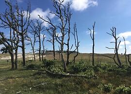 Peaceful Dune Retreat With Garden