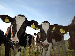 Cozy Chalet with Dishwasher near Wadden Sea