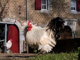 Villa in Mesch With Garden