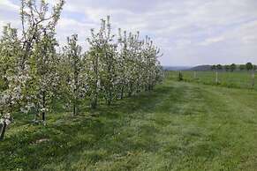 Villa in Mesch With Garden