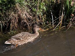 Villa in Mesch With Garden
