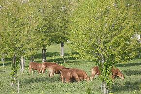 Villa in Mesch With Garden