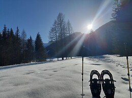 Secluded Apartment in Ferlach near Bodental Ski Lift