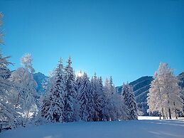 Secluded Apartment in Ferlach near Bodental Ski Lift