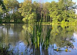 Tranquil Escape in Dordogne