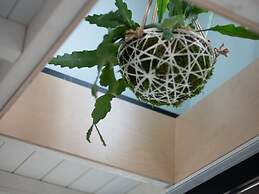 Modern, Trendy Nature Theme Lodge, Near the Sea