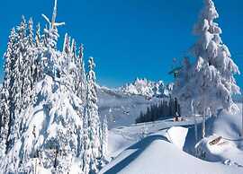 Vogue Apartment in Sankt Margarethen im Lungau near Ski Lift