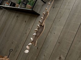 House in Vrouwenpolder near Beach