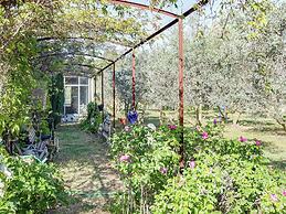 Cottage in Oppede With Pool and Garden
