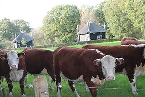 Cozy House near River