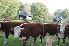 Cozy House near River