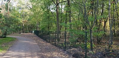 Spacious Stay Near Veluwe