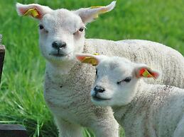 Peaceful Mansion in De Cocksdorp With Terrace