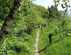 Nice House near River