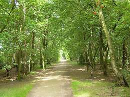 Group Accommodation 50 m From the Oosterschelde