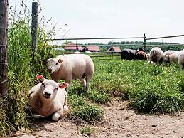 Group Accommodation 50 m From the Oosterschelde