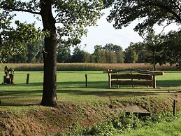 Boutique Holiday Home in Nieuwleusen near Forest