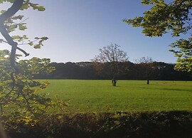 Chalet in Parc de Kievit With Private Garden