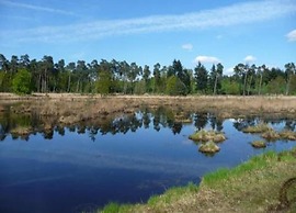 Chalet in Parc de Kievit With Private Garden