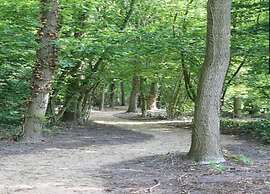 Chalet in Parc de Kievit With Private Garden