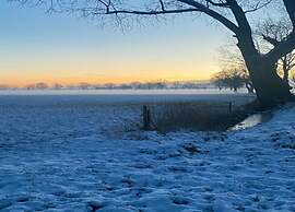 Chalet in Parc de Kievit With Private Garden