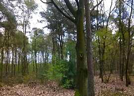 Chalet in Parc de Kievit With Private Garden