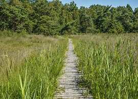 Chalet in Parc de Kievit With Private Garden