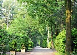 Chalet in Parc de Kievit With Private Garden