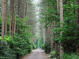 Chalet in Parc de Kievit With Private Garden