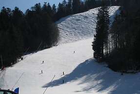 Chalet in Ventron Near La Bresse Ski Area