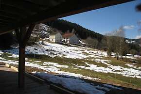 Chalet in Ventron Near La Bresse Ski Area