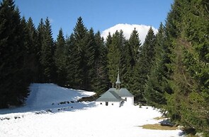 Chalet in Ventron Near La Bresse Ski Area