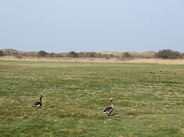 Beautiful Villa Between Den Burg and the Koog